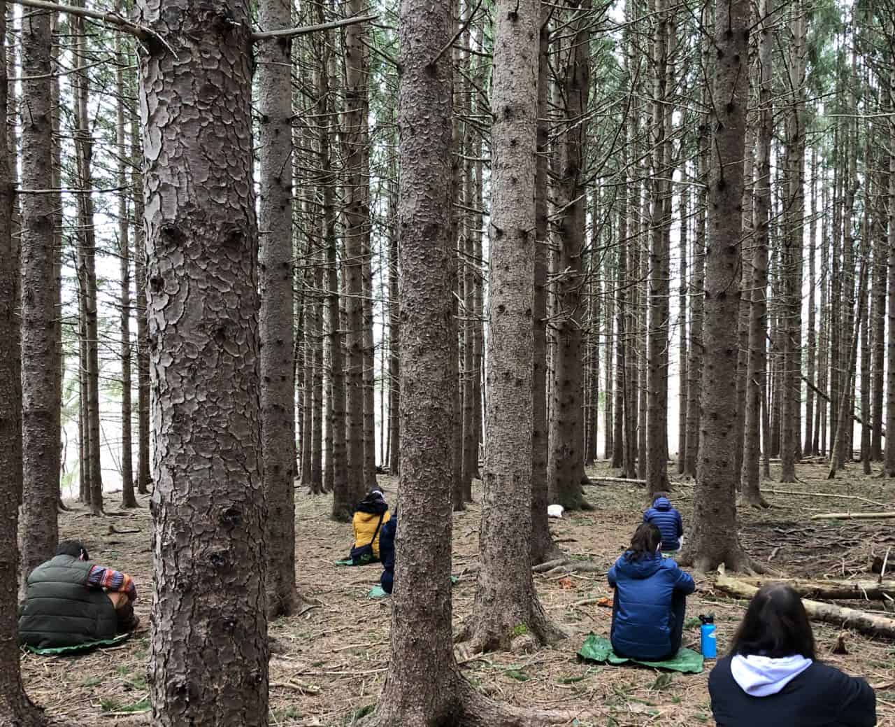 Students sitting in the forest