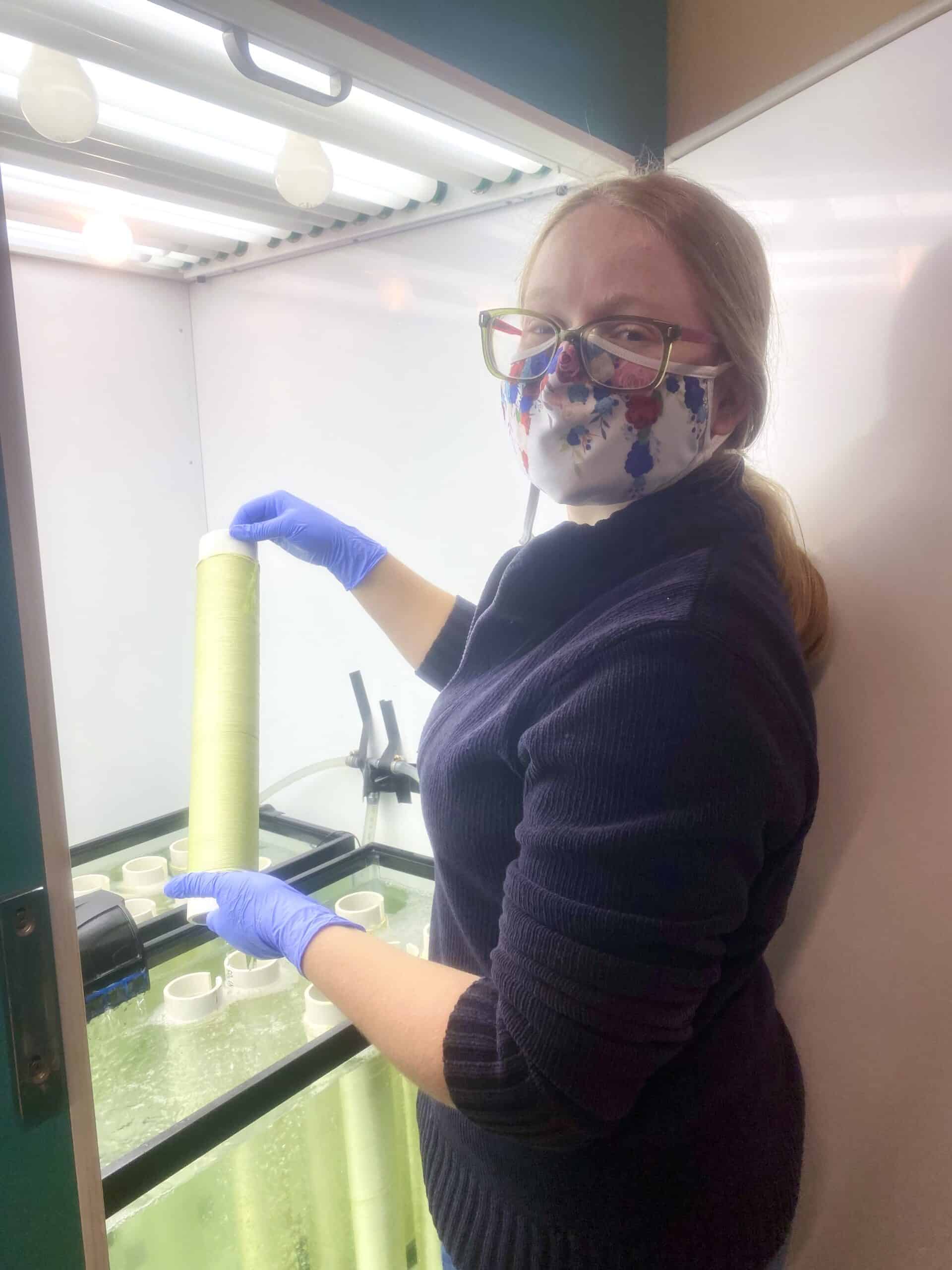 Sarah Adams examining a spool for seaweed spore growth