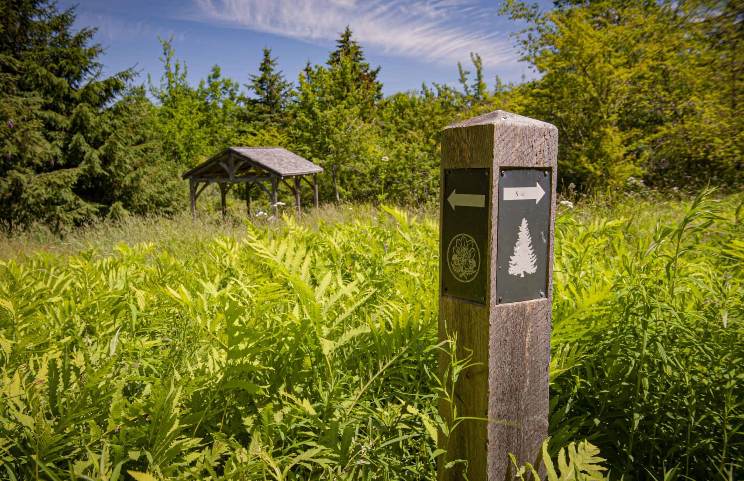 Picnic shelter at trails