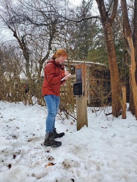 Logbooks on the Woodland Trails