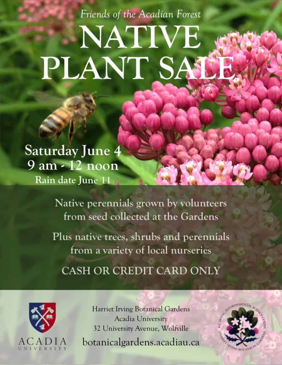 2022 Native Plant Sale Saturday June 4th | K.C. Irving Environmental ...