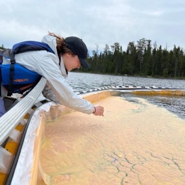 A young woman in a life jacket leans into a lake to sample orange scum on the water surface.